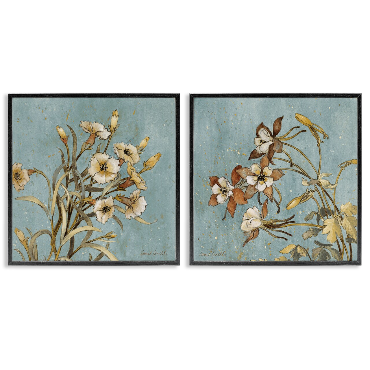 Stupell Industries Traditional Flower Portrait 2 pc Framed Giclee Wall Art Set Design by Lanie Loreth